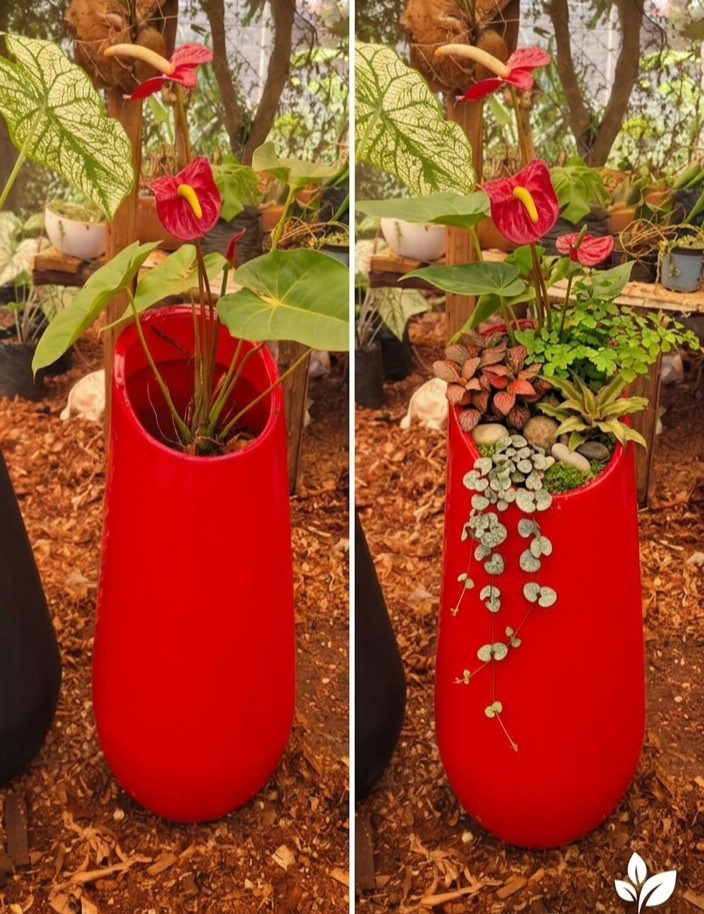 Vibrant Red Slant-Lip Accent Planter