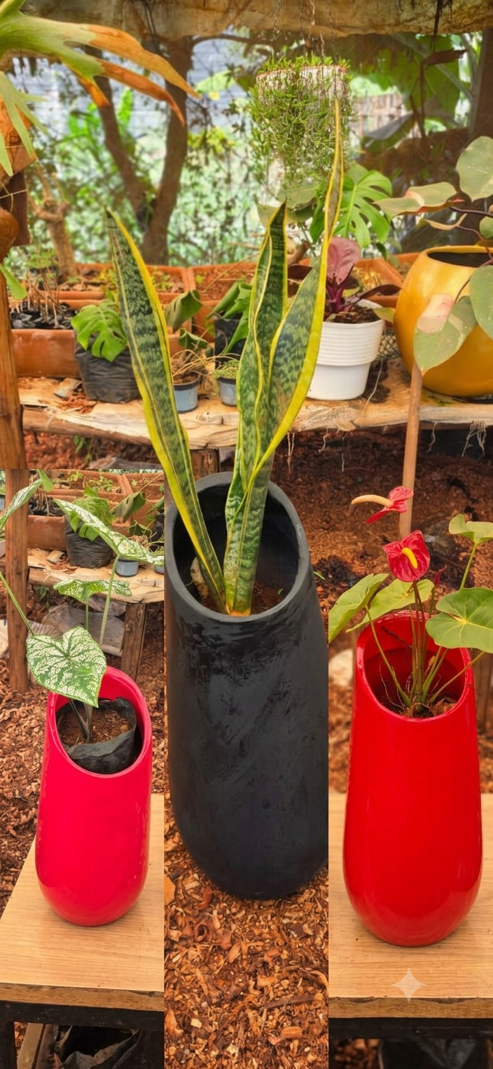 Sleek Matte Tall Floor Planter