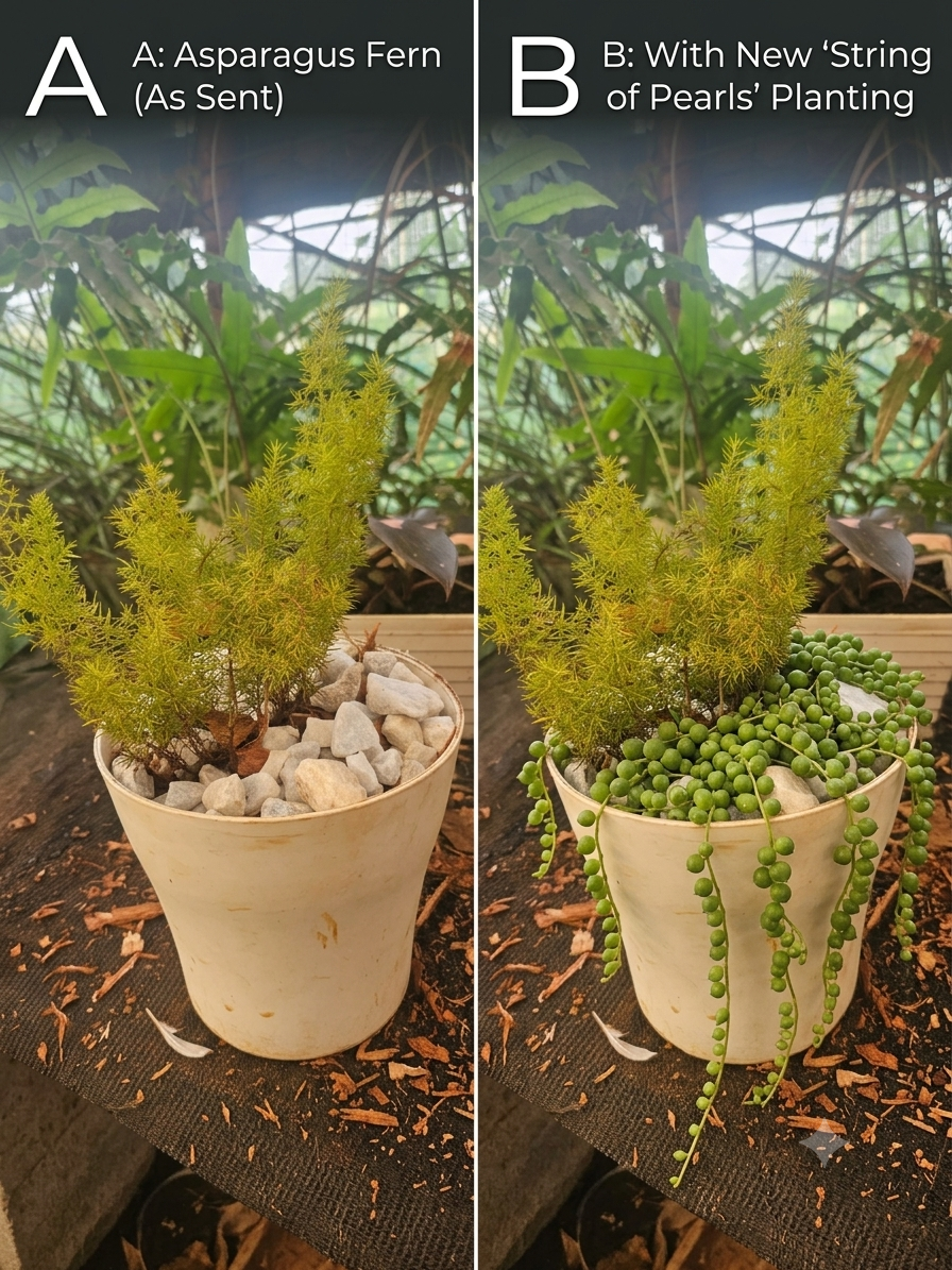 Modern Cream Grooved Cylinder Pot