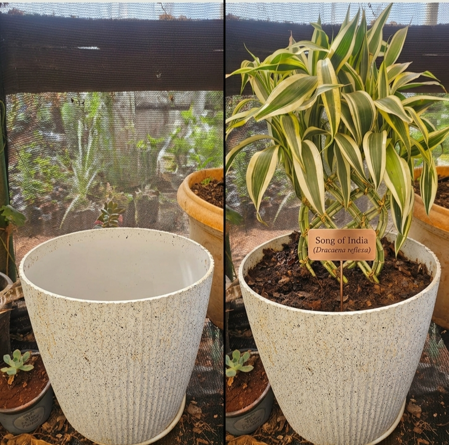 Speckled Off-White Modern Tapered Planter