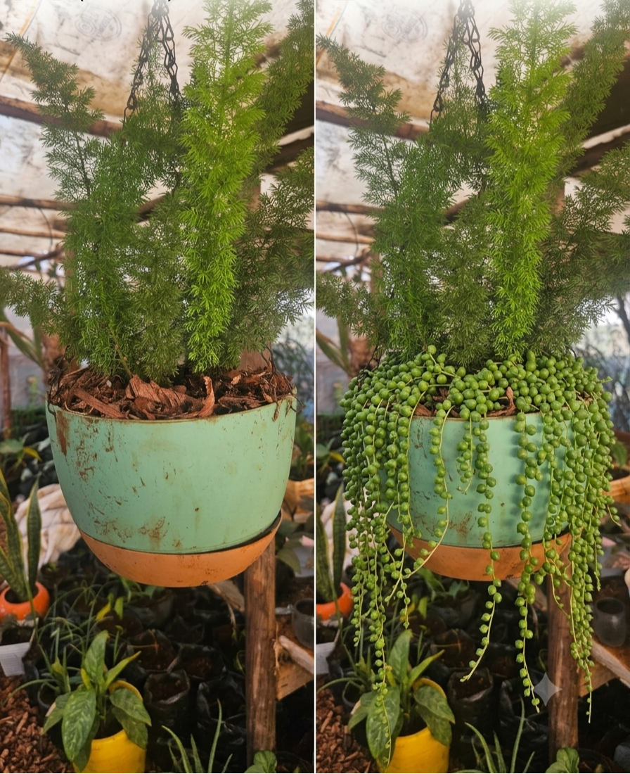 Speckled Teal Hanging Pot